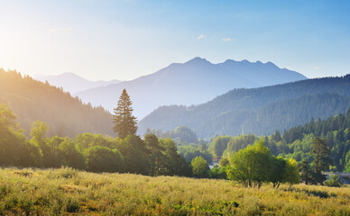 Nature landscape of panoramic view in mountain valley during the sunrise.