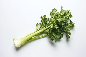 A stunning close-up image of fresh celery stalks