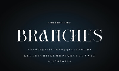 Luxury beauty font alphabet logo. Typography beautiful fashion elegant classic letters serif italic fonts wedding vintage retro casters logos. vector illustration