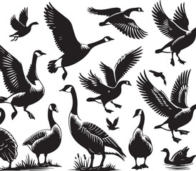 Black Goose Silhouette Vector, High Quality Illustration on White Background