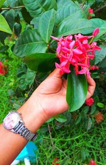 Love to the flower hands 