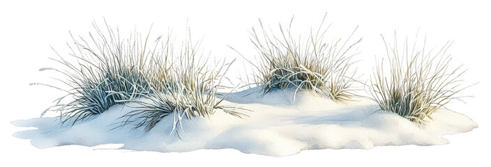 Watercolor Artwork Depicting Frost-Covered Grass in a Serene Winter Landscape