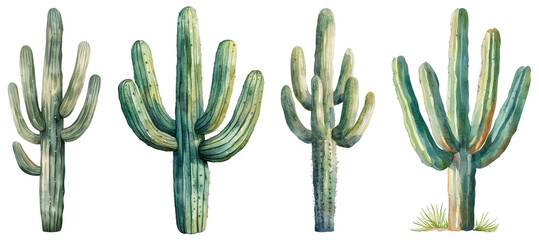 Tall Saguaro Cactus in Watercolor Style with Detailed Stitches and Vibrant Multicolor Shades for Art Projects