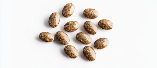 Obraz premium Brown oval stones with unique patterns arranged on a white background with copy space for text.