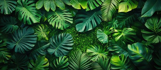 Lush green tropical leaves background with variety of shapes and textures featuring ample copy space for text placement.