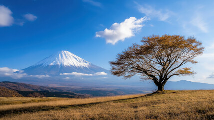 Majestic mountain with snow capped peak, solitary tree, blue sky