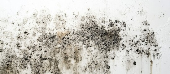 Fototapeta premium Mold and Mildew on White Wall Surface with Textured Stains
