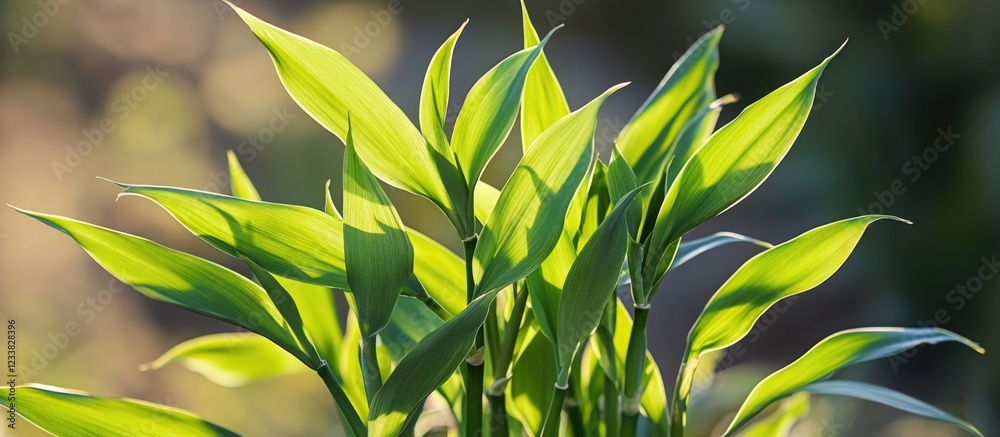 Poster fresh green bamboo leaves with soft natural light and blurred background, featuring ample copy space
