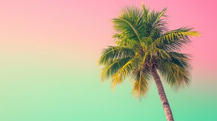 Vibrant palm tree against a green and pink gradient background perfect for summer themes and text overlay opportunities