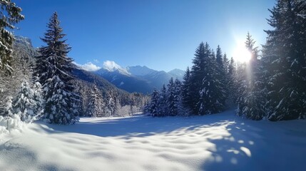 Fototapeta premium Winter Forest Landscape with Snow-Covered Fir Trees Bright Sunlight and Blue Sky Surrounded by Mountains Ideal for Text Addition