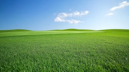 Fototapeta premium Serene Green Field Under a Bright Blue Sky