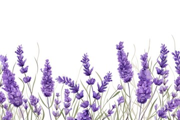 Naklejka premium Lavender lavender backgrounds blossom.
