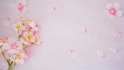 春の息吹 - 桜の花と淡いピンクの背景