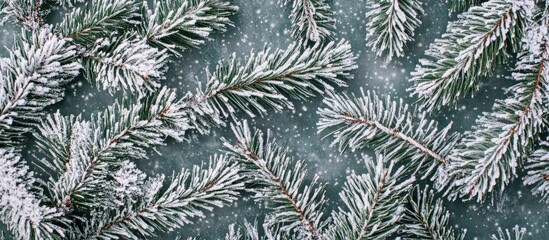 Close Up of Pine Tree Branches Dusting of Snow Capturing the Beauty of Winter Nature Frozen Landscape in a Serene Snowy Environment