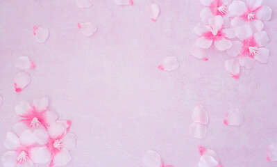 春の息吹 - 桜の花と淡いピンクの背景