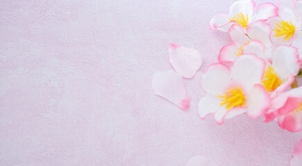 春の息吹 - 桜の花と淡いピンクの背景