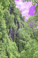 Infrared effect, lush green trees set against a vibrant purple sky