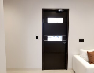 Modern Dark Entryway Door with White Wall and Minimalist Interior Design