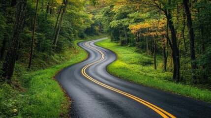 Fototapeta premium Winding road through serene green mountains inviting a peaceful journey in nature's tranquility during autumn foliage.