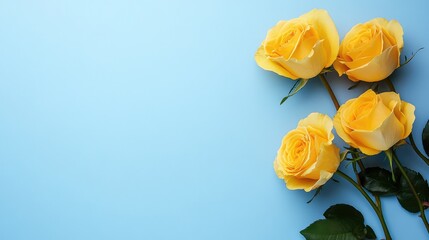 Yellow roses arranged on a soft blue background with ample text space for creative designs and branding purposes. Fresh floral composition.