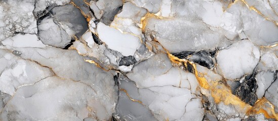 Obraz premium Abstract marble texture with black and white veins and gold accents suitable for backgrounds and design projects Copy Space