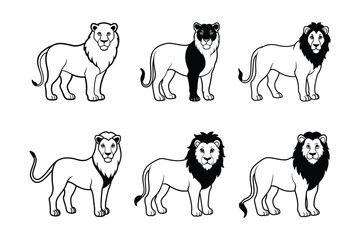 African Lion (Panthera leo) mammal animal, labeled line art vector art illustration.