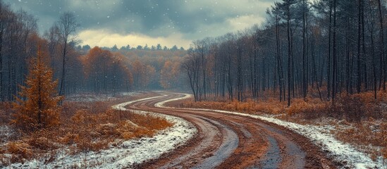 Winding dirt road through a forest in autumn with snowflakes falling and overcast sky with trees on both sides Copy Space