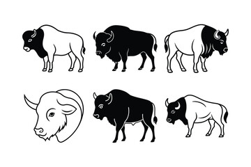 American Bison (Bison bison) animal design, labeled line art vector art illustration.