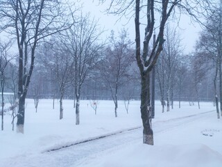 Snow covered trees. Minsk, Belarus.