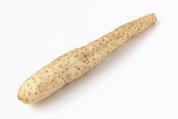 白背景の長芋