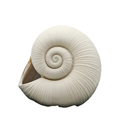 The Importance of Clean Water for a Healthy Life