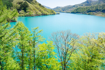 木々の深緑とエメラルドグリーンの水面が美しい八ッ場ダムのあがつま湖