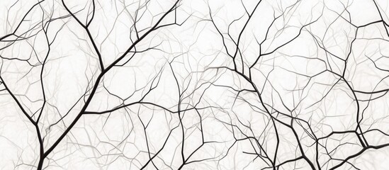 Obraz premium Abstract black tree branches on a white background providing ample Copy Space for text placement