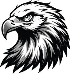 eagle vector illustration