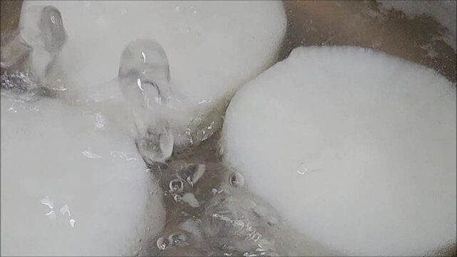 大根の煮物を美味しくするひと手間　大根の下茹で