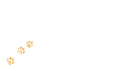 Paw vector foot trail print of cat. Dog, puppy silhouette animal diagonal tracks for t-shirts, backgrounds, patterns, websites, showcases design, greeting cards, child prints and etc.