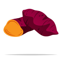 Sweet potatoes vector isolated illustration