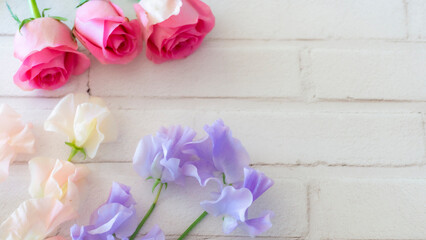 ピンクのバラとスイートピーの背景