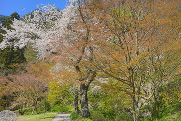 きみまち阪県立自然公園