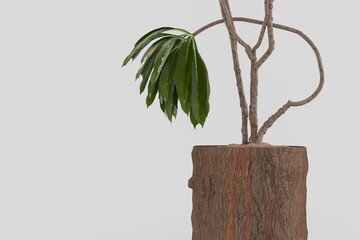 tree leaves nature on white background 3d