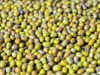 Pattern of the mung bean