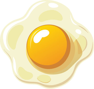 Half Fry Egg illustration of an egg omelet on a white background