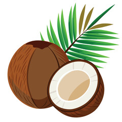 Coconuts with leaves on a white background. vector illustration