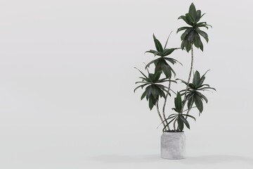 tree leaves nature on white background 3d