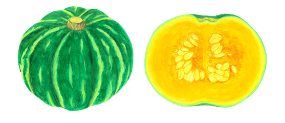 水彩で描いたかぼちゃのイラスト素材