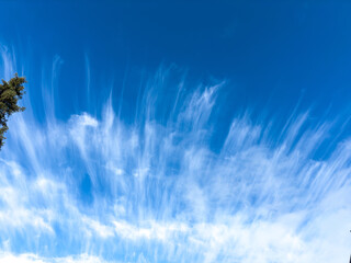 Wispy Clouds Against Clear Blue Sky