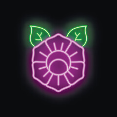Neon sign of a beautiful flower with leaves glowing on a black background