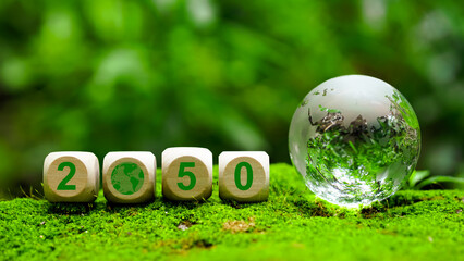 2050 Net zero. Carbon neutral. Net zero greenhouse gas emissions target. Decarbonization long term...
