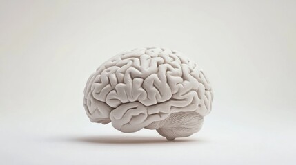 Close-up of a detailed human brain model with natural wrinkles and fading colors, representing the aging process, placed on a clean white background with ample space for text. Concept of neuroscience