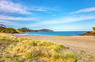 Elliot Bay, North Island, New Zealand, Oceania.